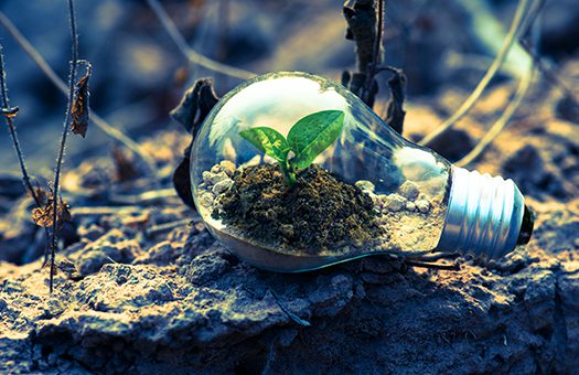 The green energy supplier is providing neat and clean energy at very low cost.