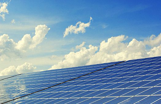 there are many solar panels installed in a field for cheap solar energy at commercial level.