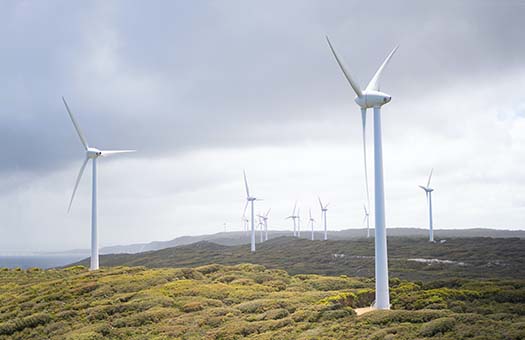 There is large number of wind turbines are installed in the green area.