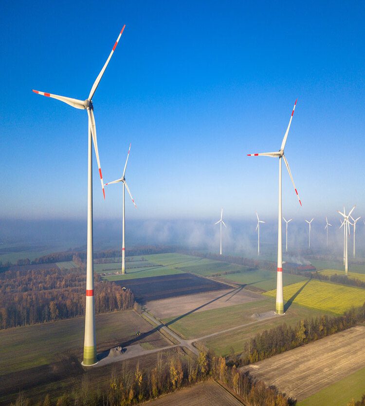 There are many wind turbines installed in the agricultural land.